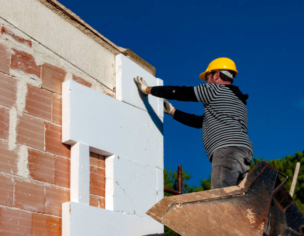 Best Attic Insulation Installation  in Mclouth, KS