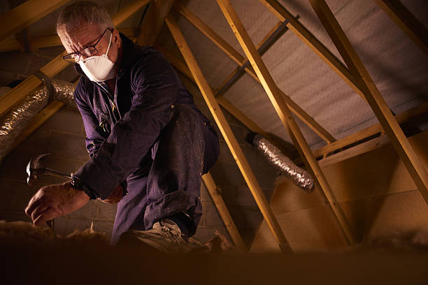 Best Insulation Contractor Near Me  in Mclouth, KS